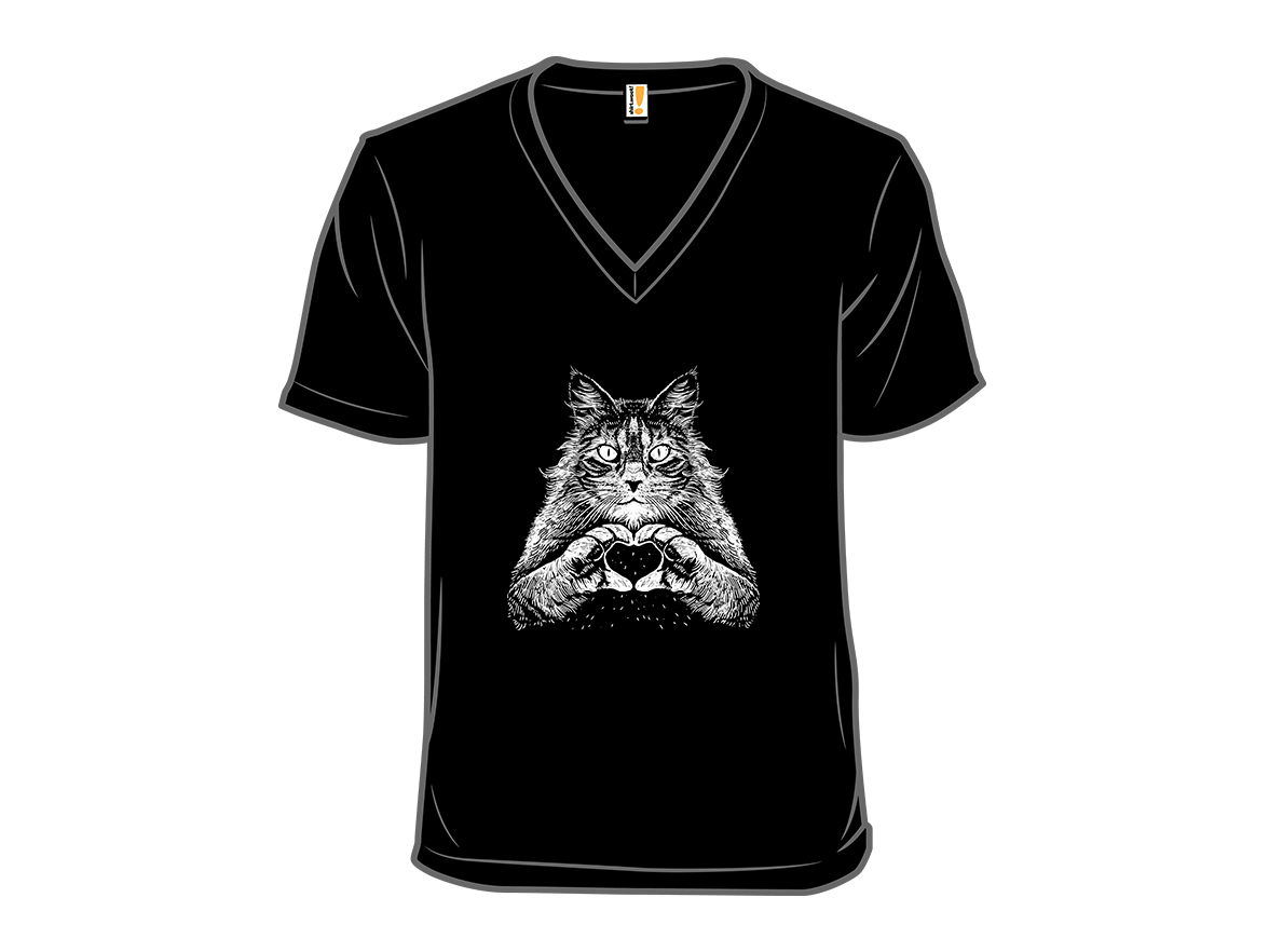 Maine Coon Affection - Gallery 10