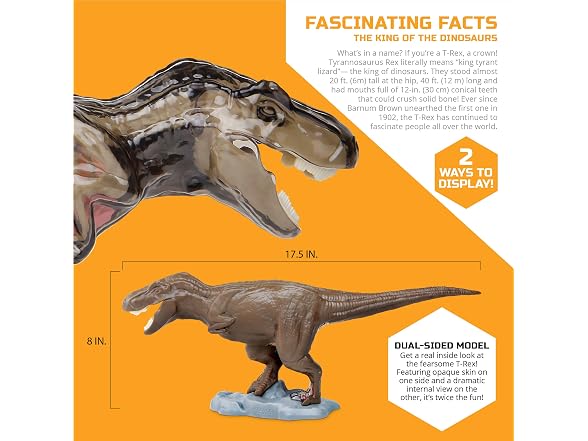 Discovery™ 4D T-Rex Anatomy Kit