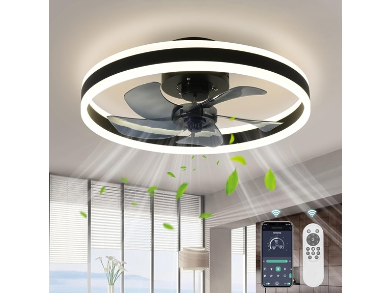 AHAWILL BC077025080001 ceiling fan with lights