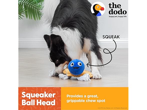 The Dodo Turtle Multitexture Toy with Ropes