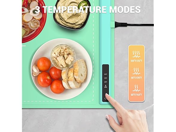 ASSC Electric Warming Tray