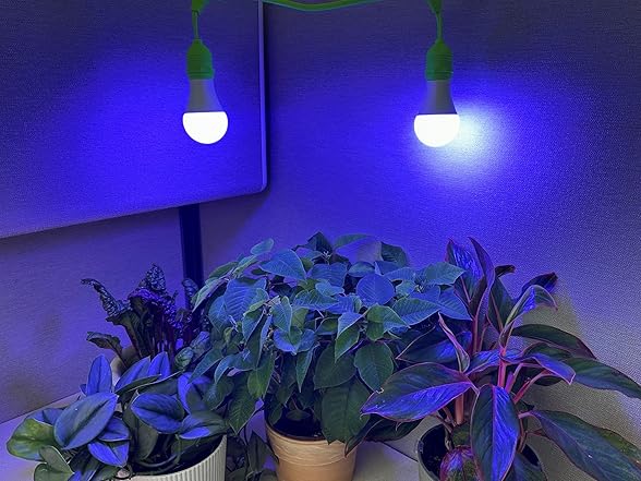 Grow Light 4-Socket White Blue 4KK