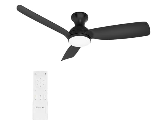 Consciot Ceiling Fan With Light, 44" with Remote, Black