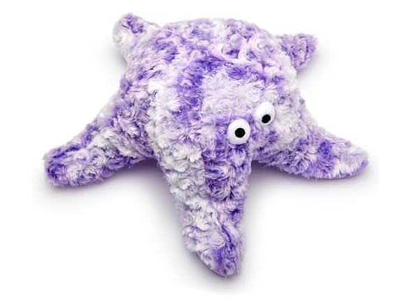 Purple Starfish