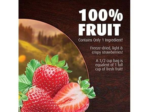 1PK Brothers All Natural Disney Freeze Dried Fruit