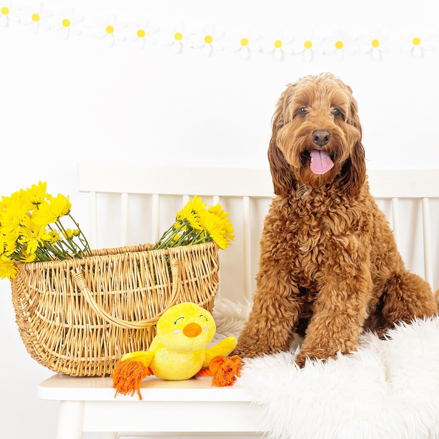 Fringe Studio Dog Toy Sweet Little Chick - Gallery 10