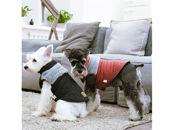 Touchdog 'Furrost-Bite' Winter Dog Coat