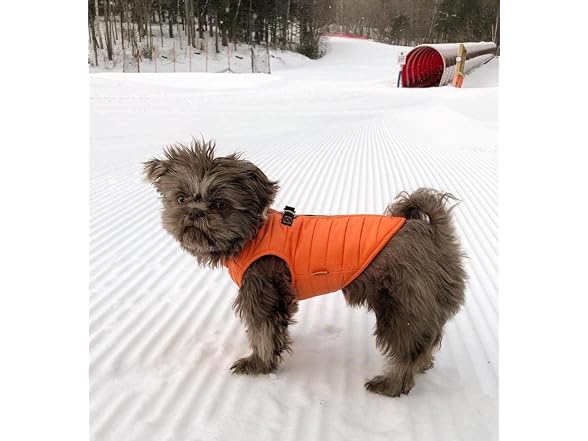 Gooby Puffer Vest Dog Jacket Zip Up Wind Breaker