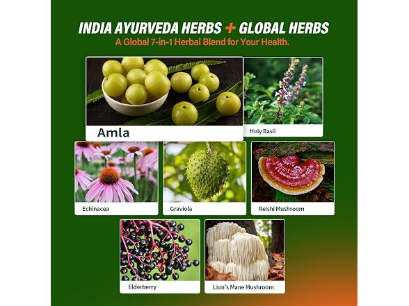 Amla Indian Gooseberry Liquid Extract