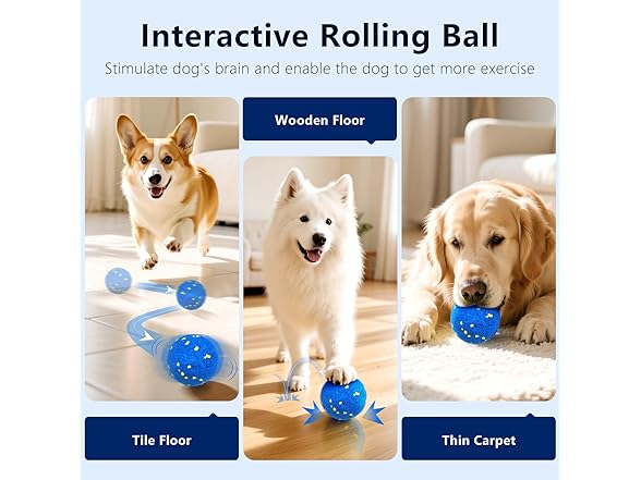 Zuykjeagle Interactive Dog Toy Ball