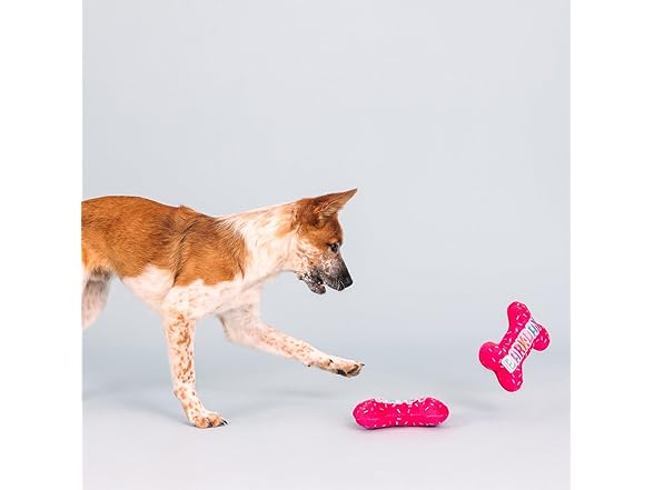 It's My Barkday Plush Dog Toy