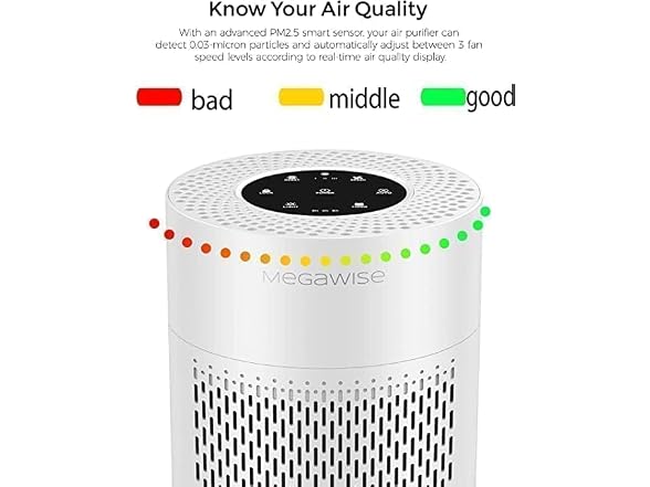MEGAWISE 2-Pack HEPA Air Purifier