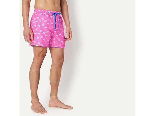 Amazon Essentials Mens 5in QuickDry Swim Trunk