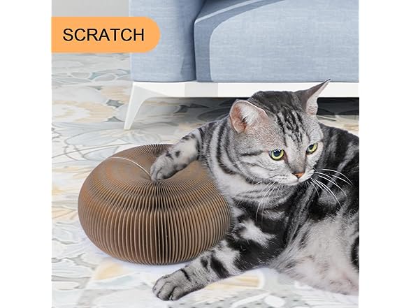 FluffyDream Magic Organ Cat Scratching Board