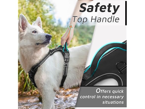 Pet Vest Harness with 2 Leash Clips, Adjusta