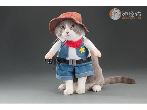 Pet Life 'Rodeo Bones' Dog Costume