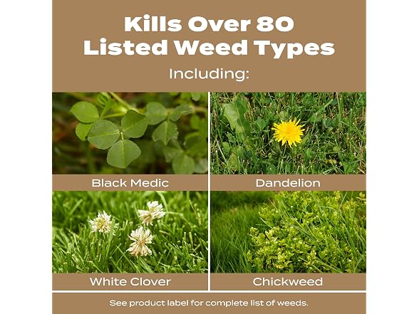 Scotts Turf Builder Weed & Feed