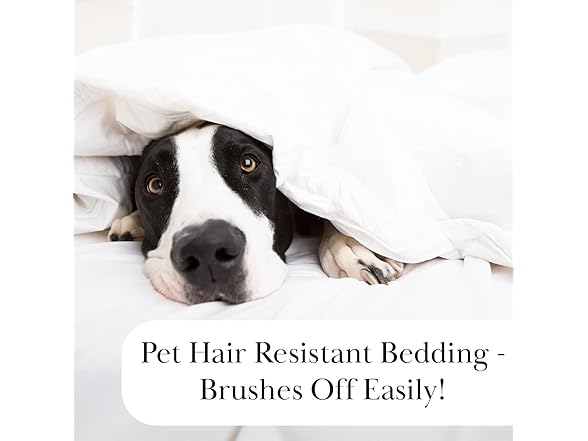 Southshore Extra Deep Pocket Sheets Set, Microfiber