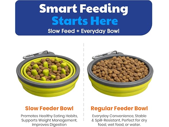 AKC 2-Pack Collapsible Travel Bowls for Dogs- Gray/Green