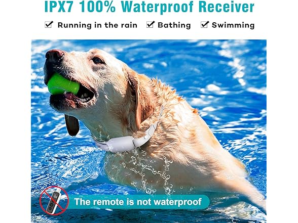 Bousnic B08KZZ81XB Dog Shock Collar