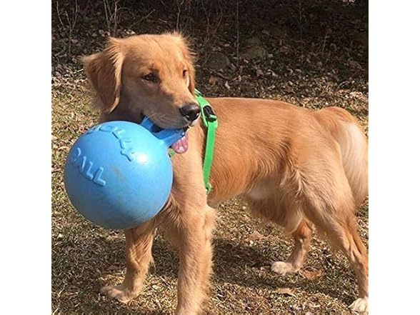 Jolly Pets 8-Inch Tug-n-Toss, Blueberry