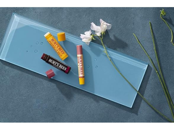 Burt's Bees Lip Balm Stocking Stuffers
