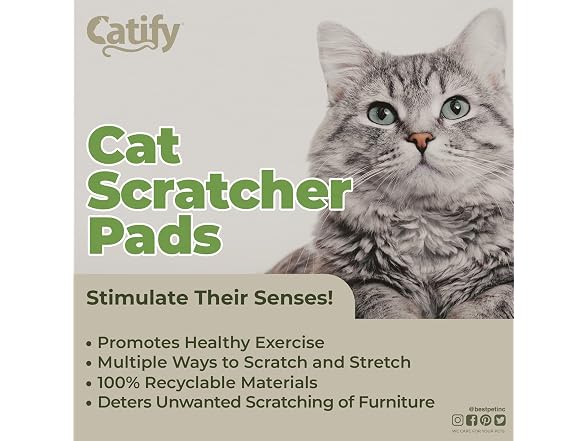 Best Pet Supplies Catify Cat Scratcher 4Pk