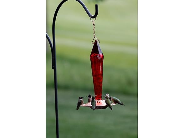 Songbird Essentials Ruby Faceted Glass H