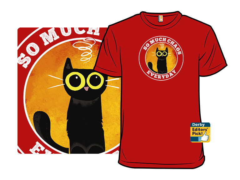 So Much Chaos - Gallery 5