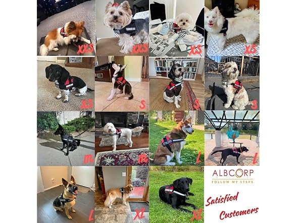 ALBCORP Service Dog Vest Harness Small, Red
