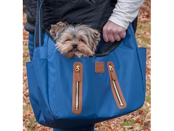 Pet Gear Carrier and Car Seat, Caribbean Blue