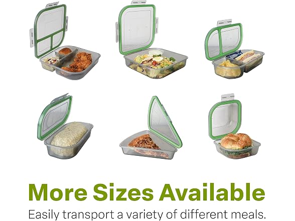 MyGo Container Small To-Go 3-Compartment Food Container