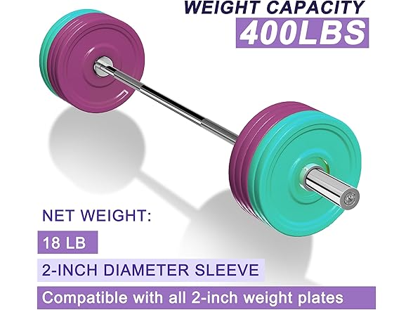 Olympic Barbell Curl Bar EZ Bar 5 FT Bar