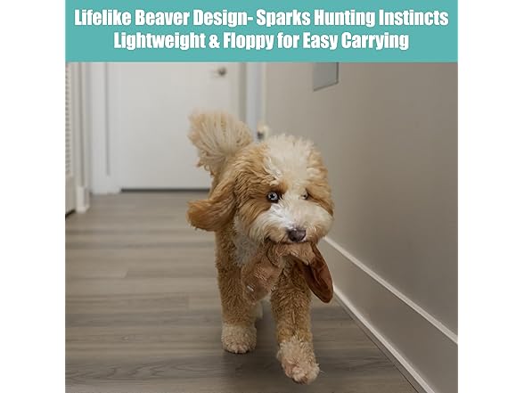 SPOT Skinneeez Beaver Dog Toy