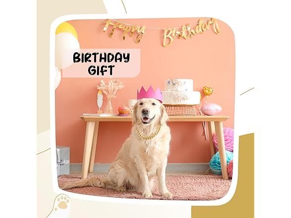 LEIFIDE (2 Pack) Dog Chain Collar Gold