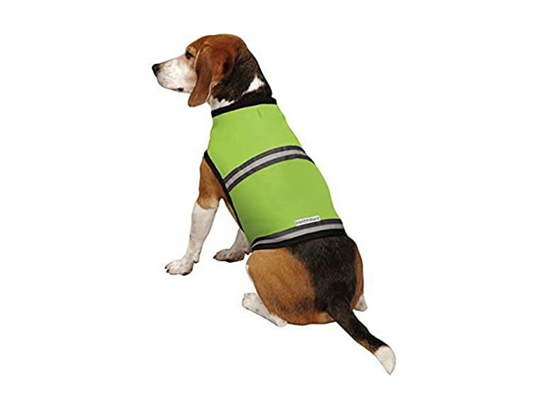 Insect Shield Insect Repellant Protective Safety Vest for Protecting Dogs from Fleas, Ticks, Mosquitoes & More - Green, 11"