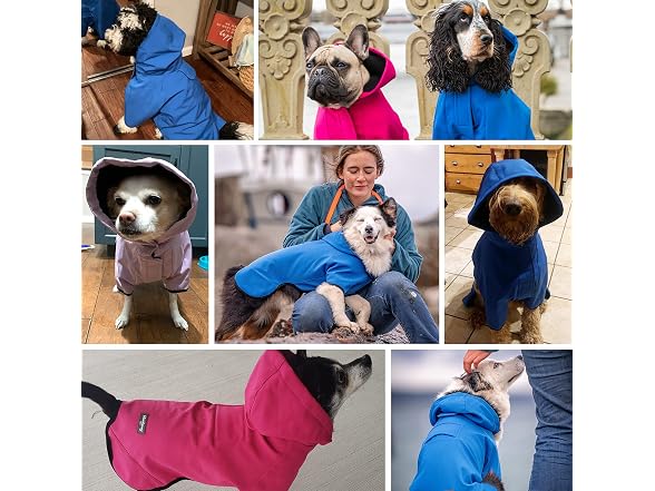 Blueberry Pet 2023 New 24" Waterproof Dog So