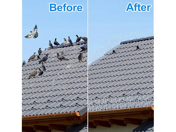 Bird Spikes with Stainless Steel Base