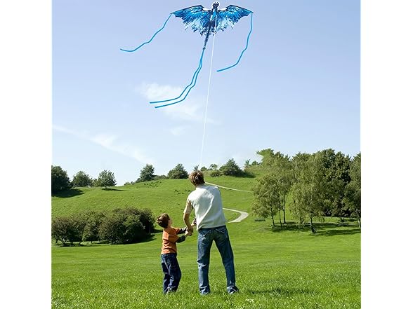 Crogift Dragon Kite