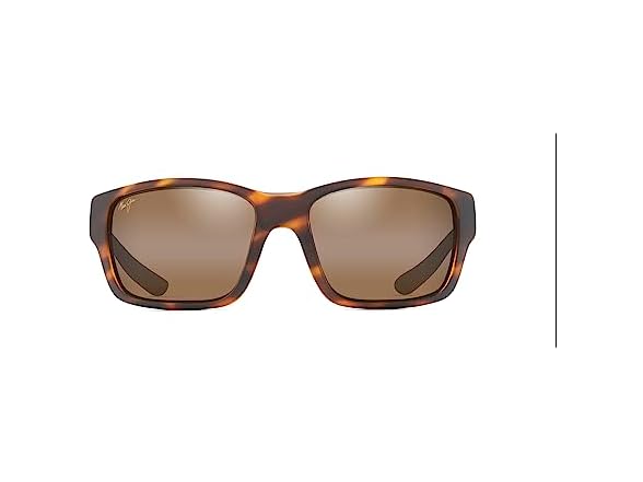 Tortoise/HCL Bronze Polarized