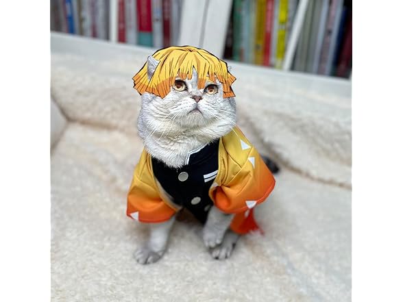 Cat Costume Anime Cat Clothes Cat Halloween