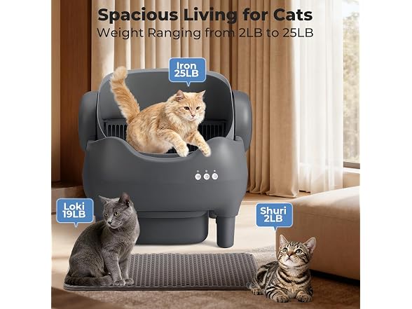 Automatic Self Cleaning Cat Litter Box