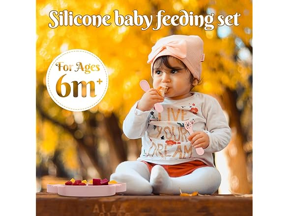 BabyX Silicone Feeding Set (3 PCs)