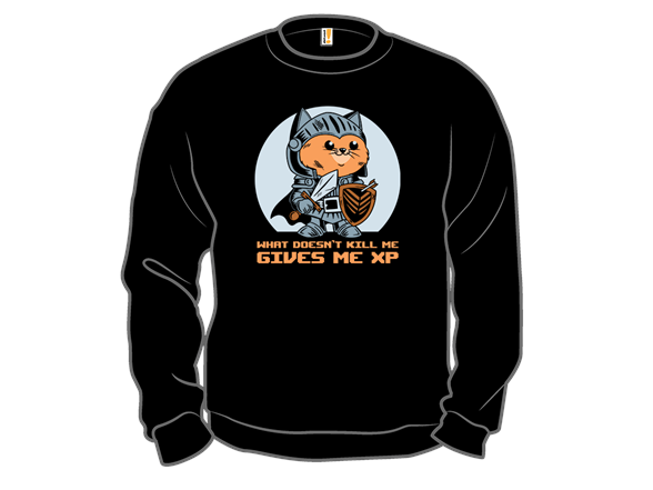 What Doesn?t Kill Me Gives Me XP Cat