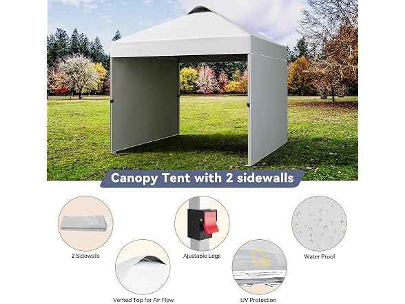 ChicCoutured 10x10 Pop-Up Canopy, 2 Sidewalls