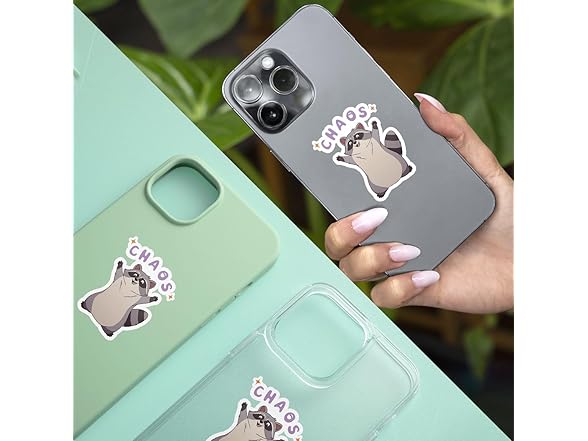 3pc Raccoon Chaos Sticker Meme