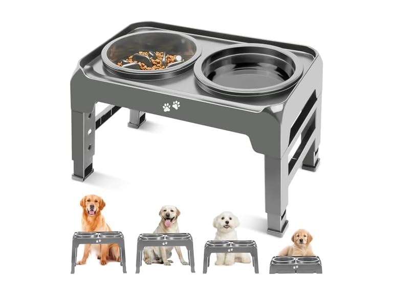 Elevated 2-in-1 Dog Feeder