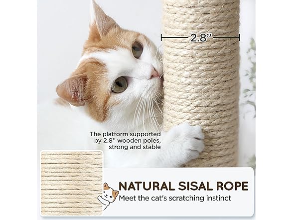 Yaheetech Cat Tree, 63 Inches Multi-Leve