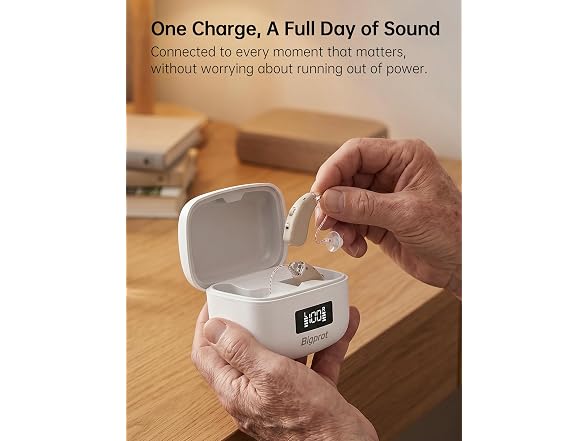 Bigprot Rechargeable Hearing Aids