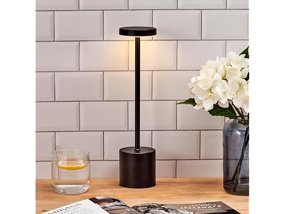 Elements 13-Inch Rechargeable LED Desk Lamp